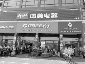 下沉市場家電連鎖換新顏，國美新零售店獲縣域老板點贊